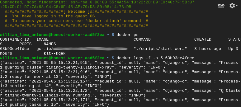 It shows the result of the docker command after the machine is up and running
