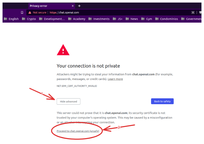 When you try to access a not secure website, the browser offers a link where you accept to proceed though it's unsafe. The image shows this link where you can continue.